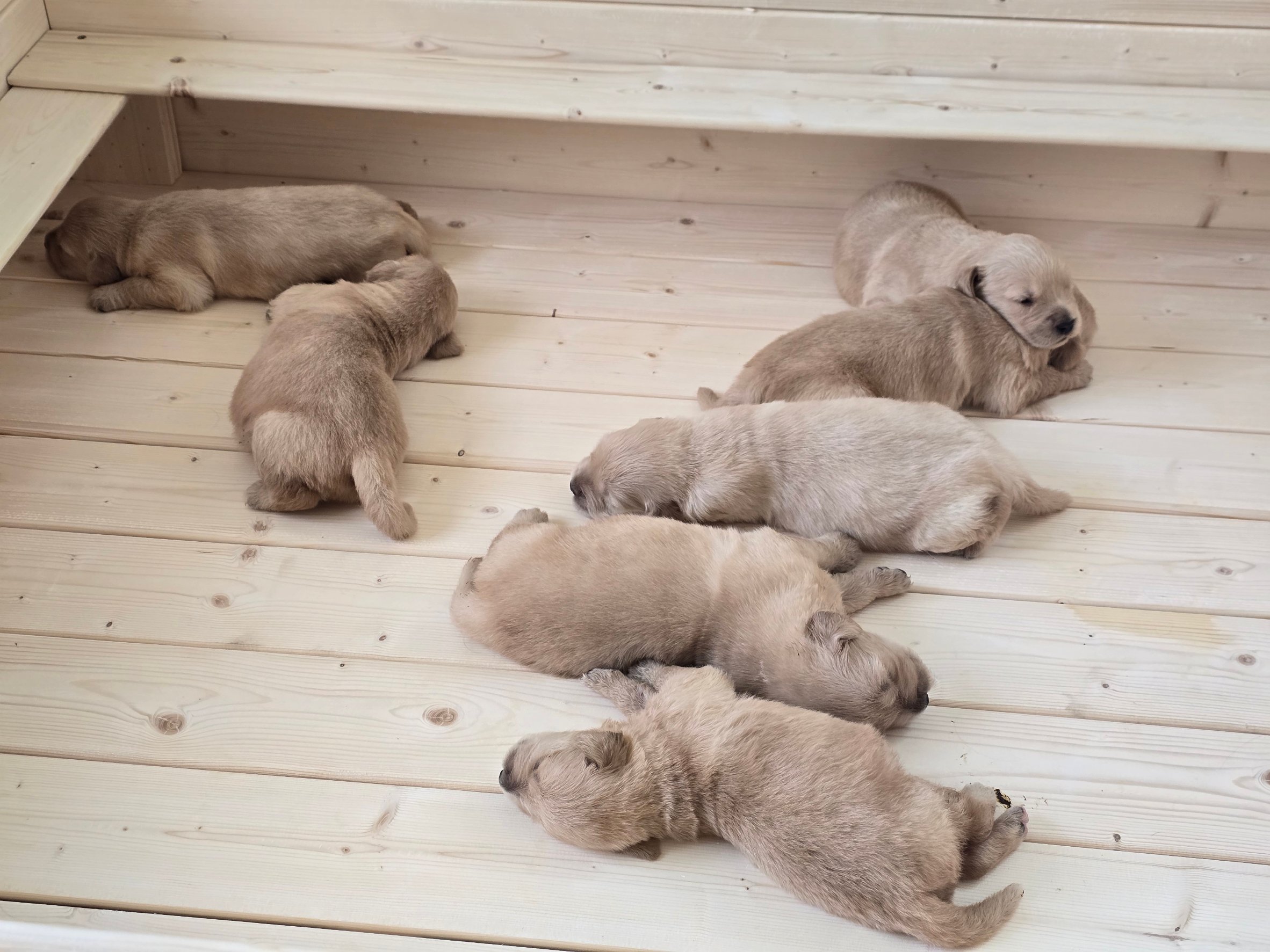 line_oa_chat_260405_165702