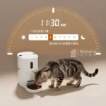 餵不停LuxNourish 貓狗自動餵食器 AI萌寵版(雙向視訊 進階攝影機版)：圖片 2